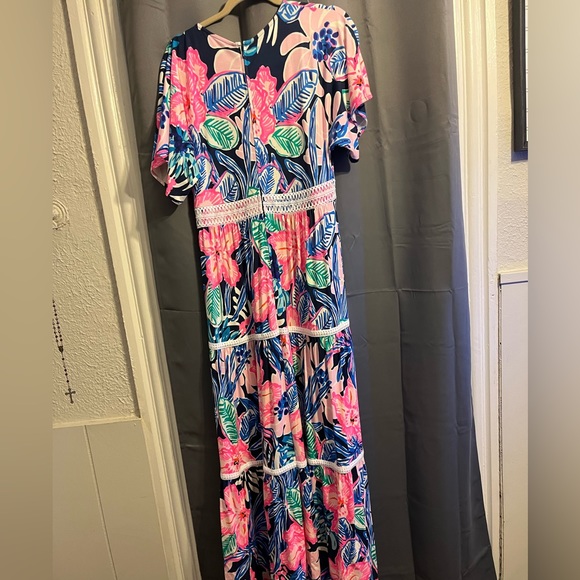 Lilly Pulitzer Maxi Dress - Picture 3 of 3